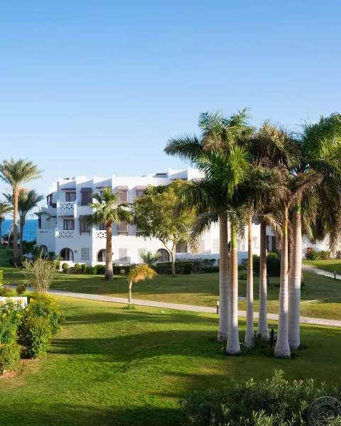 Viešbutis „MERCURE“ (Hurgada, Egiptas)