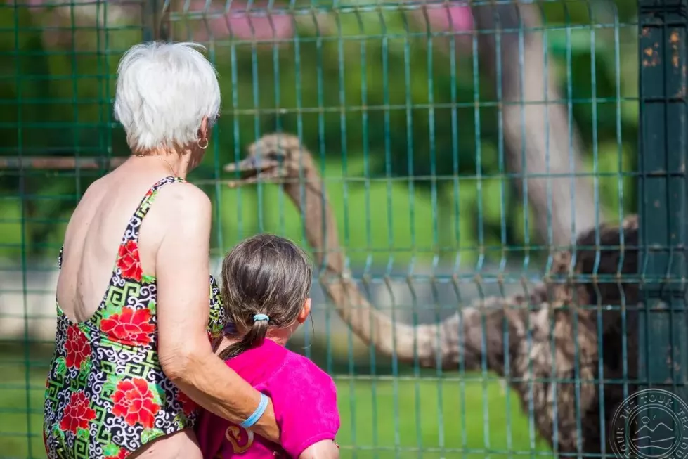 Viešbutis „CLUB TURAN PRINCE WORLD“ (Sidė, Turkija)