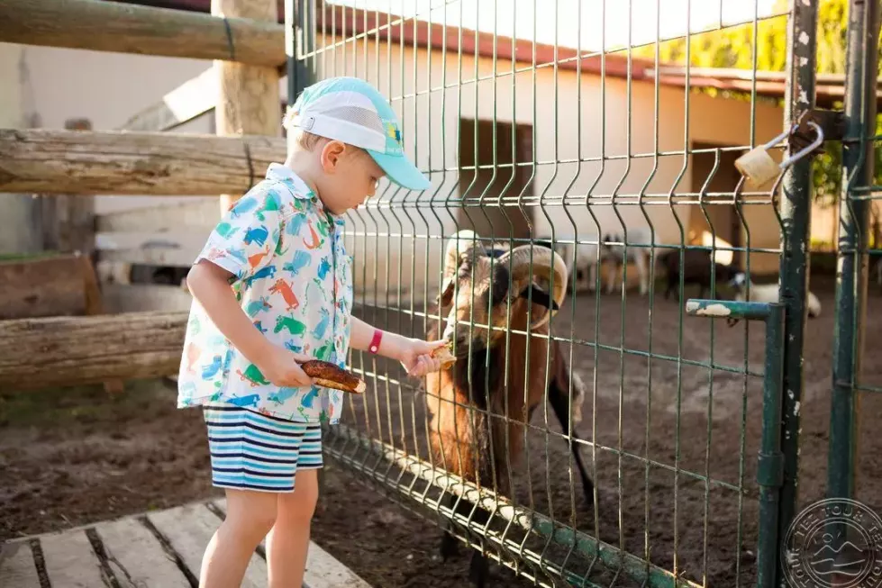 Viešbutis „CLUB TURAN PRINCE WORLD“ (Sidė, Turkija)