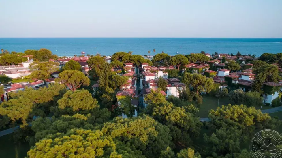 DJI_0065_1297.jpg
