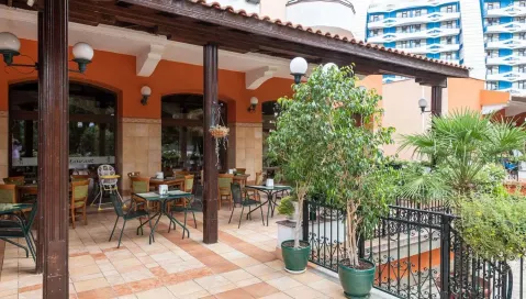 Hrizantema (Burgasas, Bulgarija)