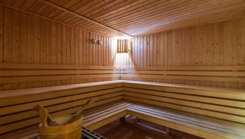 Hrizantema (Burgasas, Bulgarija)