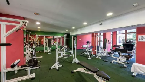 Hrizantema (Burgasas, Bulgarija)