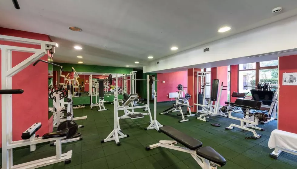 Hrizantema (Burgasas, Bulgarija)