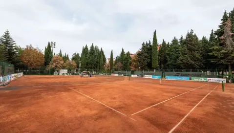 Hrizantema (Burgasas, Bulgarija)