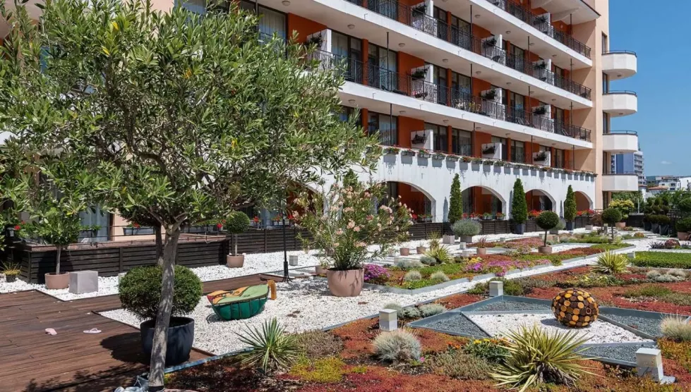 Hrizantema (Burgasas, Bulgarija)