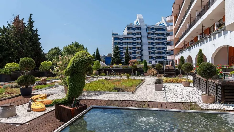 Hrizantema (Burgasas, Bulgarija)