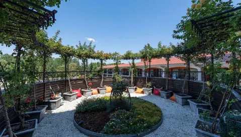 Hrizantema (Burgasas, Bulgarija)