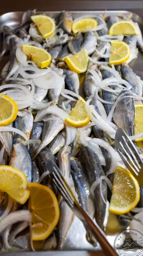 Viešbutis „KOTVA“ (Saulėtasis krantas, Burgasas, Bulgarija)