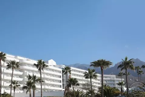 Viešbutis „IBEROSTAR SELECTION SABILA“ (Kosta adechė, Tenerifė, Ispanija)