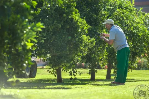 Viešbutis „LONICERA RESORT & SPA“ (Alanija, Turkija)