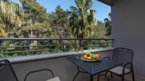 Viešbutis „GRAND VIKING HOTEL“ (Kemeras, Turkija)