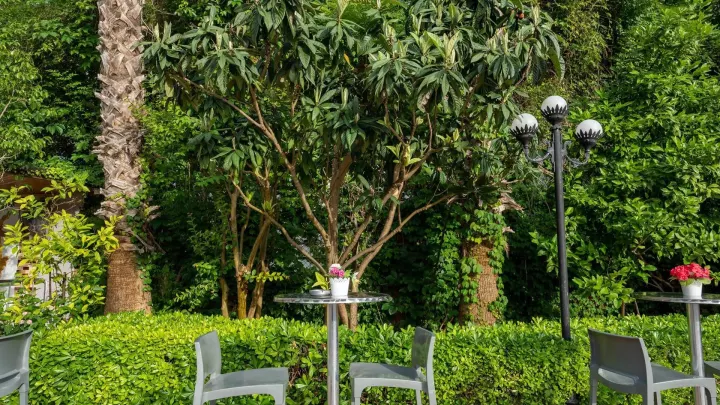 Viešbutis „GRAND VIKING HOTEL“ (Kemeras, Turkija)