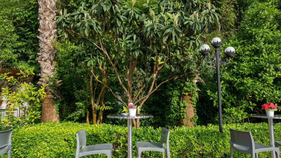 Viešbutis „GRAND VIKING HOTEL“ (Kemeras, Turkija)