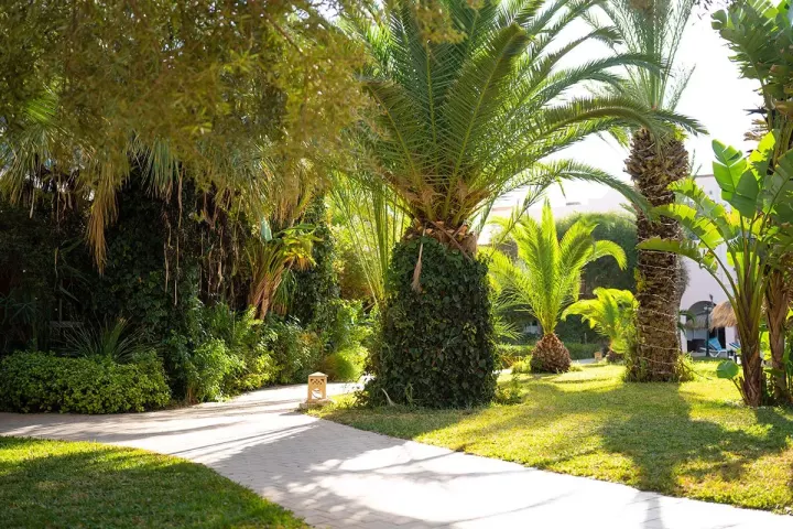 Eden Yasmine Resort & Spa