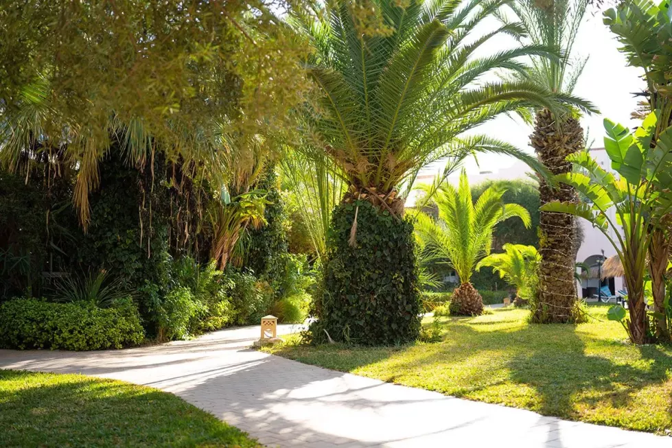 Eden Yasmine Resort & Spa