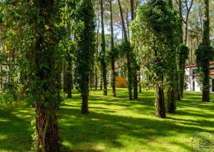 Viešbutis „BAIA SALIMA KEMER“ (Kemeras, Turkija)