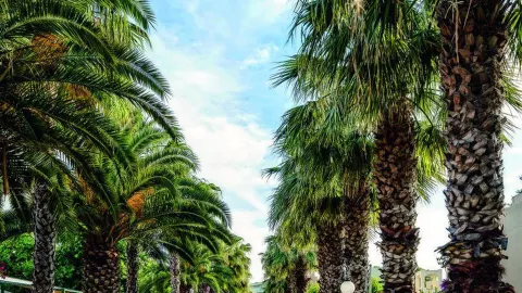 Viešbutis „VONRESORT GOLDEN BEACH“ (Sidė, Turkija)