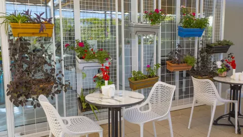 Viešbutis „ORANGE COUNTY BELEK“ (Belekas, Turkija)