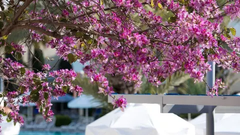 Viešbutis „BARUT B SUITES“ (Sidė, Turkija)