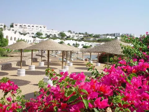 Viešbutis „DOMINA CORAL BAY AQUAMARINE“ (Sharm el Sheikh, Egiptas)