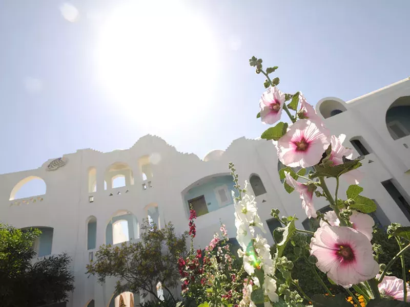 Viešbutis „DOMINA CORAL BAY AQUAMARINE“ (Sharm el Sheikh, Egiptas)