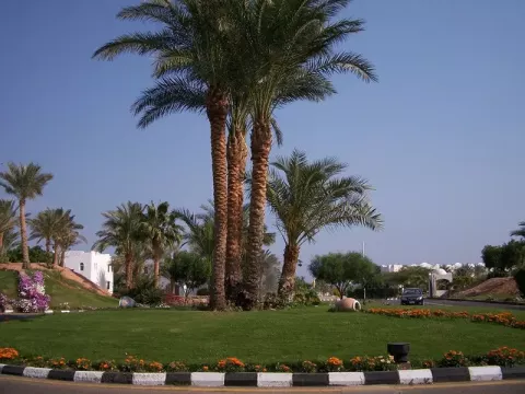 Viešbutis „DOMINA CORAL BAY AQUAMARINE“ (Sharm el Sheikh, Egiptas)