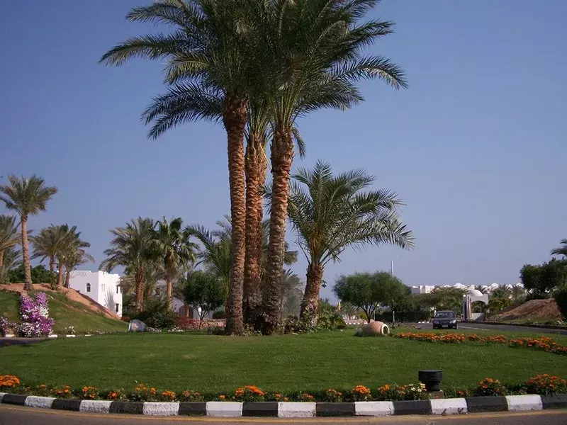 Viešbutis „DOMINA CORAL BAY AQUAMARINE“ (Sharm el Sheikh, Egiptas)