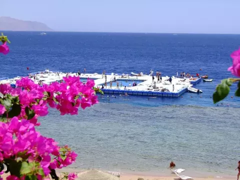 Viešbutis „DOMINA CORAL BAY AQUAMARINE“ (Sharm el Sheikh, Egiptas)