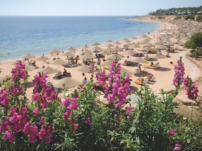 Viešbutis „DOMINA CORAL BAY AQUAMARINE“ (Sharm el Sheikh, Egiptas)