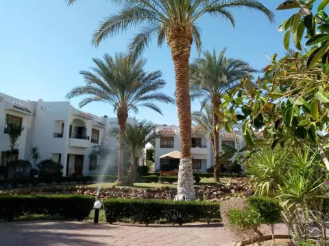 Viešbutis „DIVE INN RESORT“ (Sharm el Sheikh, Egiptas)
