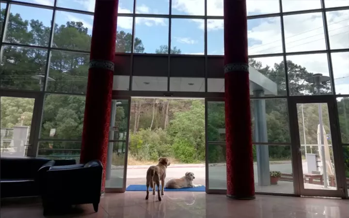 Viešbutis „GRAND NAR HOTEL“ (Kemeras, Turkija)