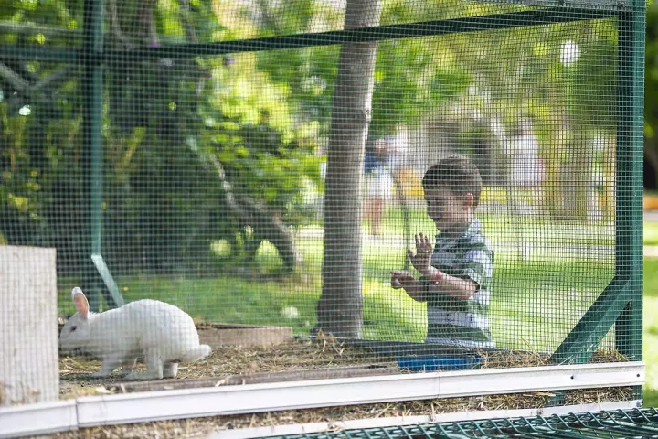 Viešbutis „LYCUS BEACH HOTEL“ (Alanija, Turkija)