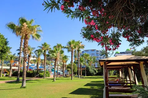 Viešbutis „CLUB HOTEL CARETTA BEACH“ (Alanija, Turkija)