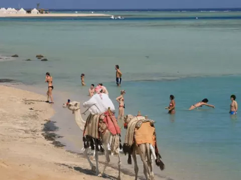 Viešbutis „BLUE REEF RESORT“ (Marsa alamas, Hurgada, Egiptas)