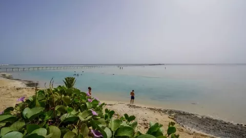 Viešbutis „BLUE REEF RESORT“ (Marsa alamas, Hurgada, Egiptas)