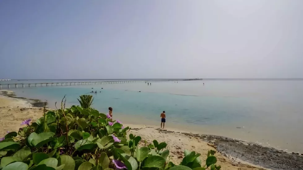 Viešbutis „BLUE REEF RESORT“ (Marsa alamas, Hurgada, Egiptas)