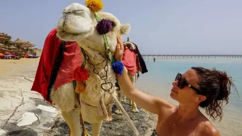 Viešbutis „BLUE REEF RESORT“ (Marsa alamas, Hurgada, Egiptas)