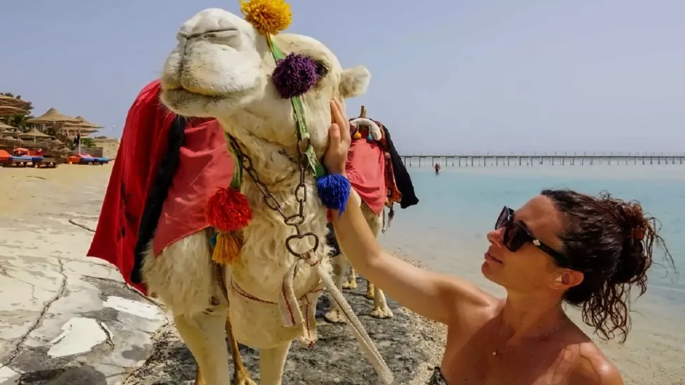 Viešbutis „BLUE REEF RESORT“ (Marsa alamas, Hurgada, Egiptas)