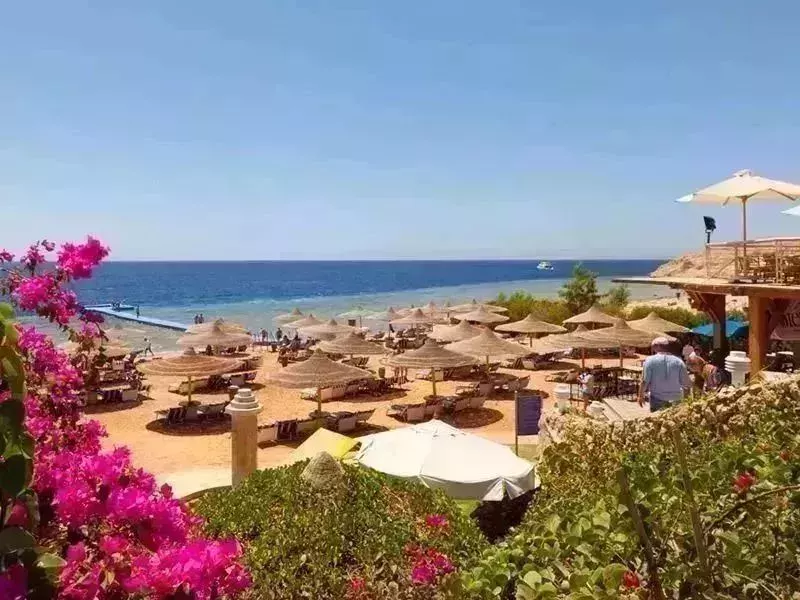 Viešbutis „SIERRA“ (Sharm el Sheikh, Egiptas)