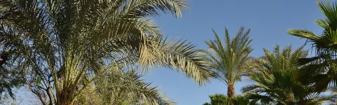 Viešbutis „SIERRA“ (Sharm el Sheikh, Egiptas)