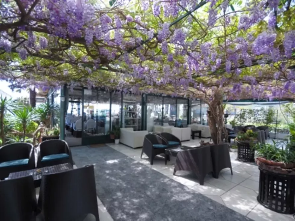 Viešbutis „LA MER BY AYCON“ (Budva, Tivatas, Juodkalnija)