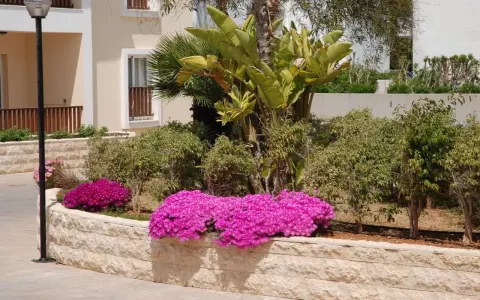 Viešbutis „AKTEA BEACH APT“ (Aja napa, Larnaka, Kipras)