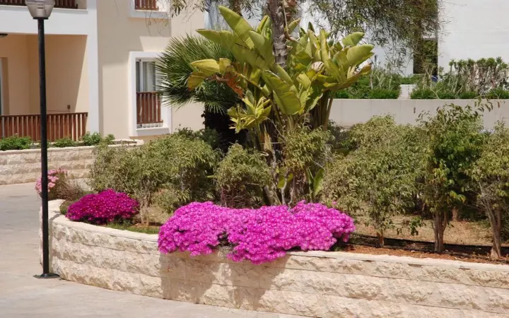 Viešbutis „AKTEA BEACH APT“ (Aja napa, Larnaka, Kipras)