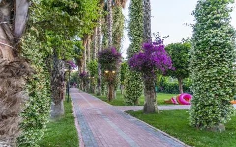 Viešbutis „GARDENIA BEACH“ (Alanija, Turkija)