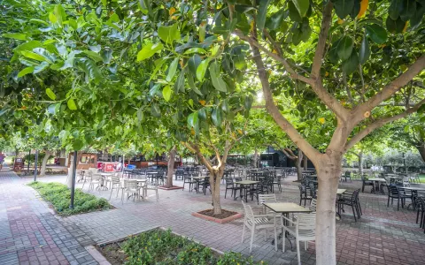 Viešbutis „GARDENIA BEACH“ (Alanija, Turkija)