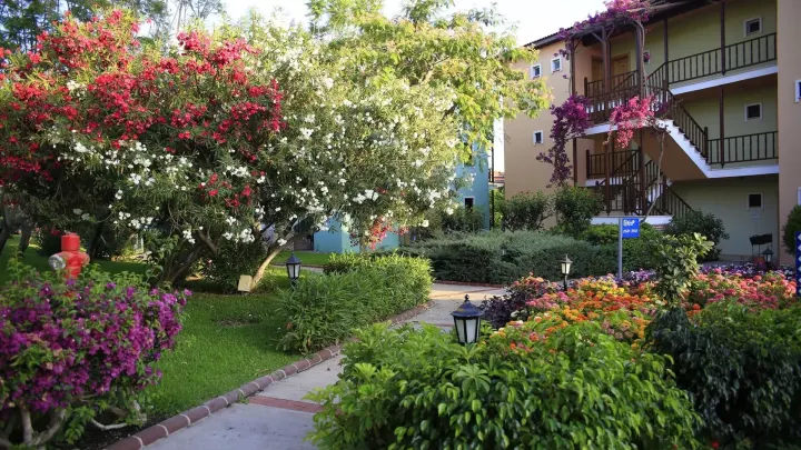 Viešbutis „GYPSOPHILA HOLIDAY VILLAGE“ (Alanija, Turkija)