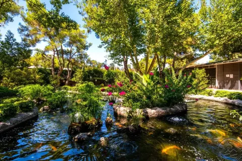 Viešbutis „MIRADA DEL MAR“ (Antalija, Turkija)