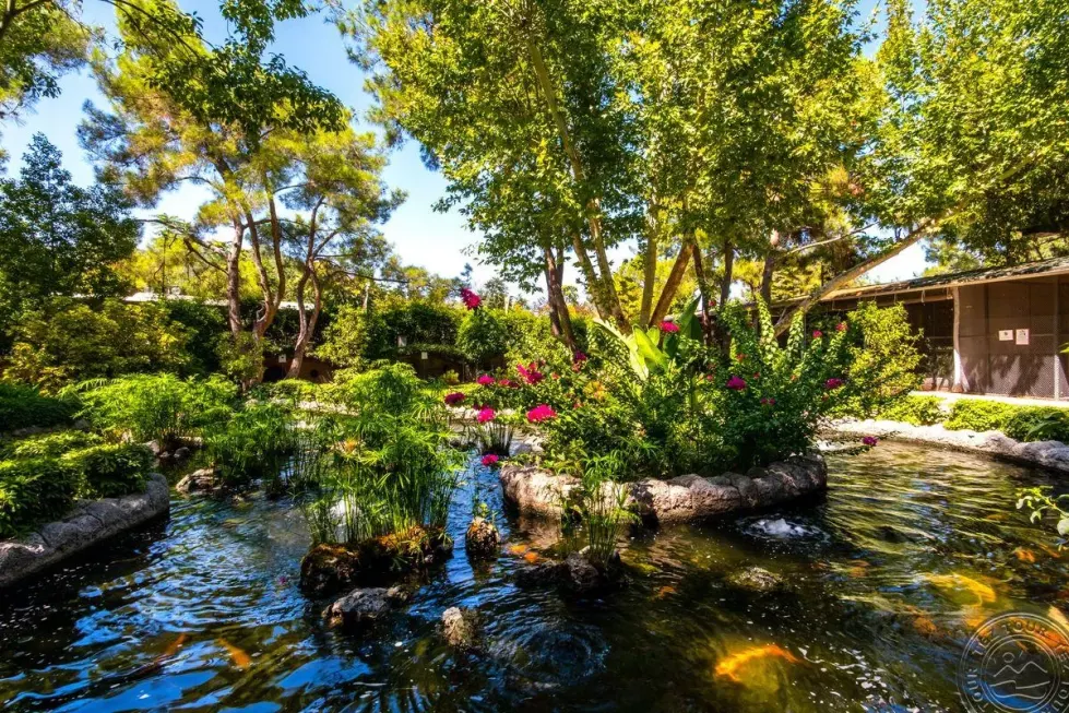 Viešbutis „MIRADA DEL MAR“ (Antalija, Turkija)