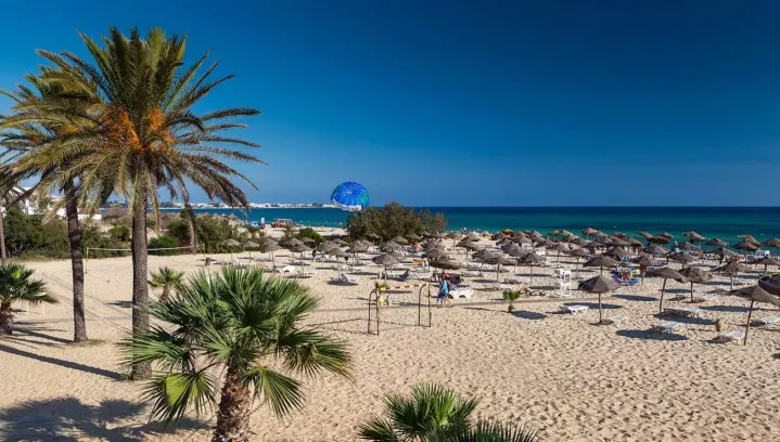 Sentido Phenicia (Enfida, Tunisas)